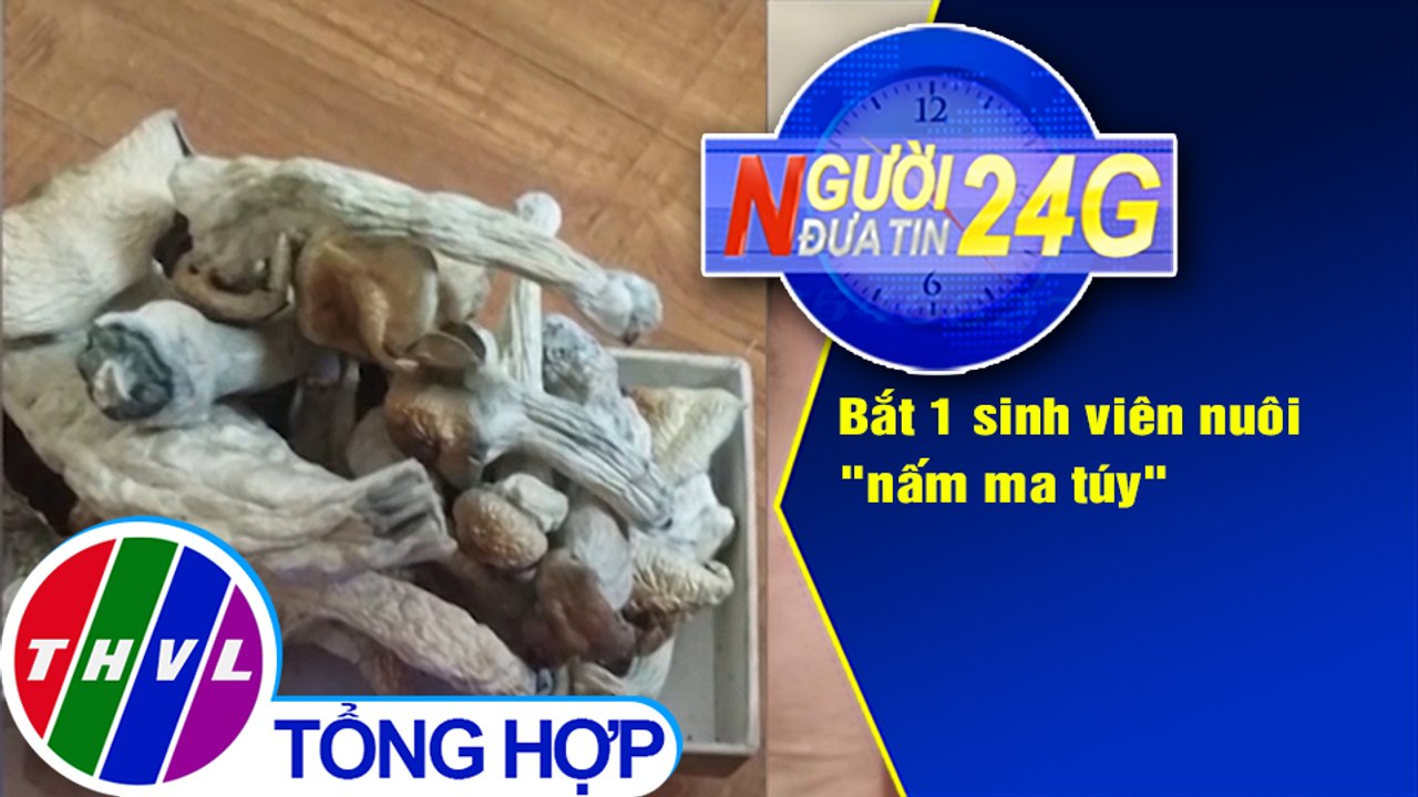 Người đưa tin 24G (6g30 ngày 19/6/2020): Bắt 1 sinh viên ngành công nghệ sinh học nuôi "nấm ma túy"