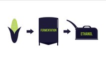 Biofuels - simple technogy illustration