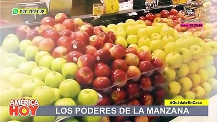 America Hoy:  Conoce el mejor secreto natural para cuidar y fortalecer tus pulmones (HOY)