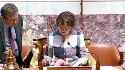 1ère séance : Revalorisation pensions de retraite agricoles en France continentale et dans les outre-mer ; Loi de programmation pour hôpital public et EHPAD - Jeudi 18 juin 2020
