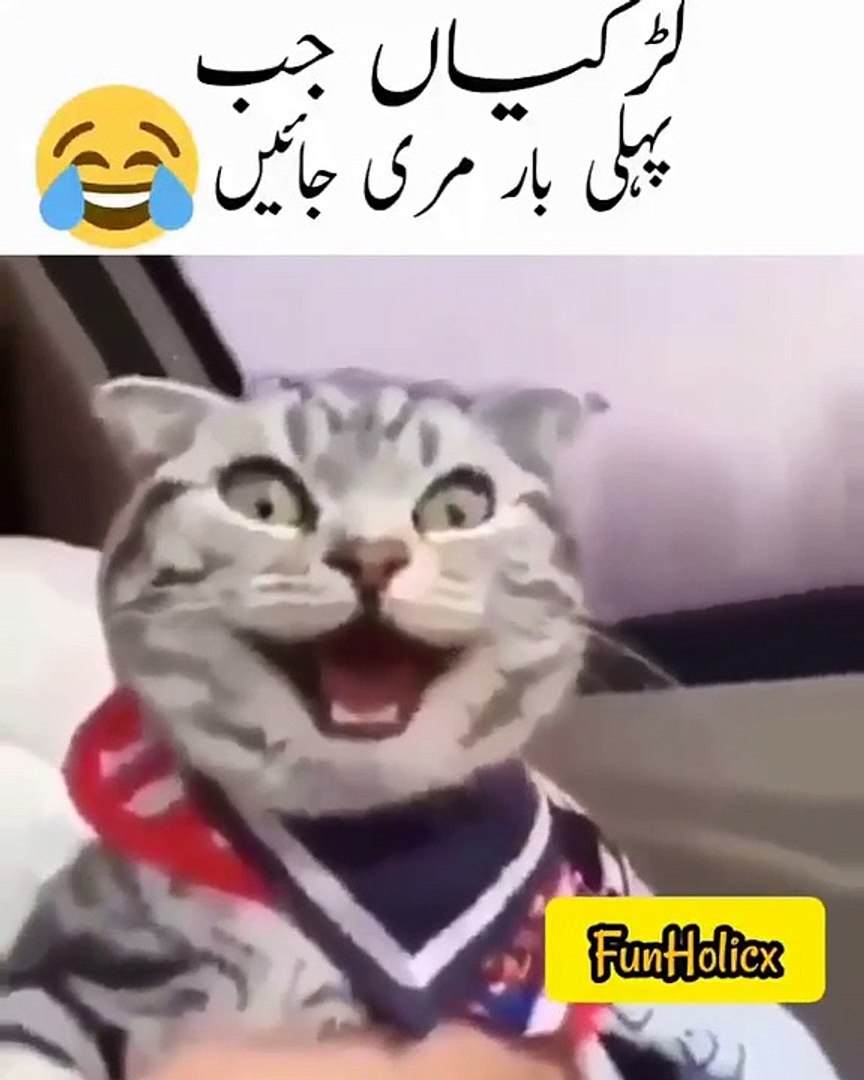 ⁣Girls reaction when they visit funny video