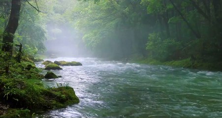 SONIDO  NATURAL DEL  AGUA EN UN RIO  EN LA SELVA TROPICAL,Sonidos  relajantes -Ultra HD video-Dormir/relajacion/estudio