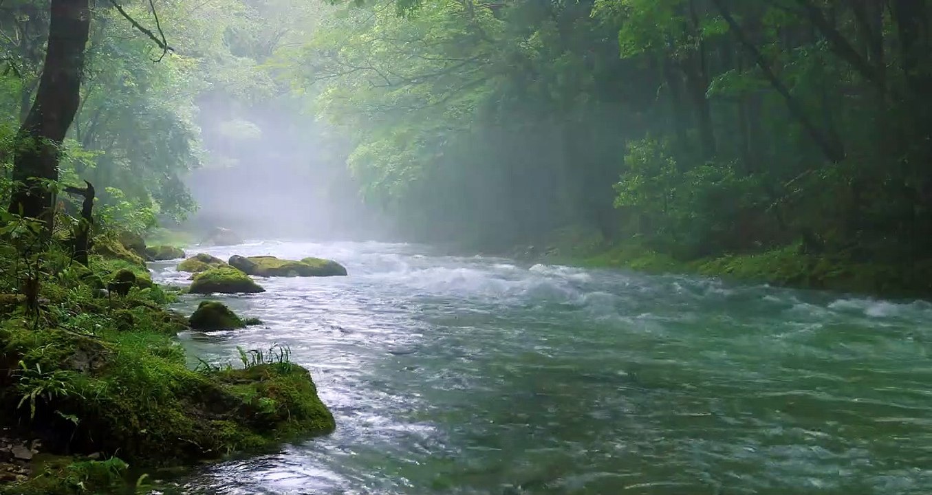 SONIDO  NATURAL DEL  AGUA EN UN RIO  EN LA SELVA TROPICAL,Sonidos  relajantes -Ultra HD video-Dormir/relajacion/estudio