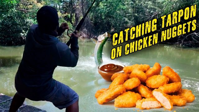 Catching TARPON on MCDONALDS CHICKEN NUGGETS