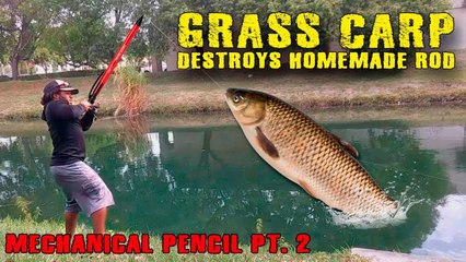 MONSTER FISH DESTROYS HOMEMADE FISHING ROD!!!