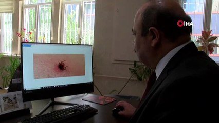 Ölümlere neden olan virüs aşısında önemli gelişme