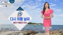 [내일의 바다낚시지수] 6월 20일 토요일 다시 여름 날씨, 해안가 해파리 주의 / YTN