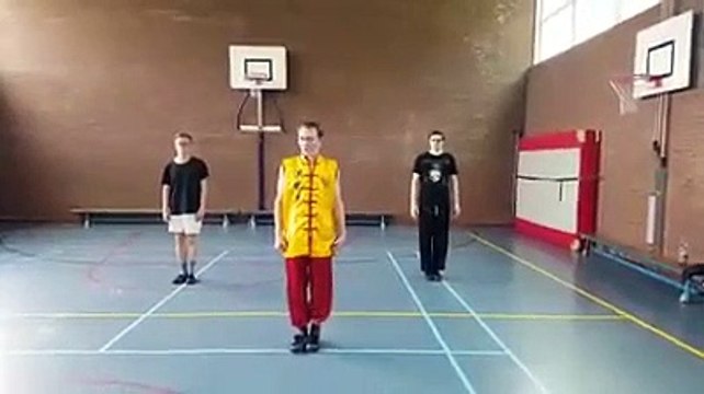 Five Animal Kung Fu Form - Patrick van Steen - Martial Arts Apeldoorn