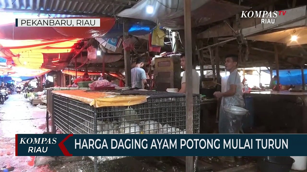 Harga Daging Ayam Potong Mulai Turun