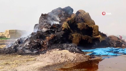 Yem fabrikası ve yonca deposunda dün gündüz saatlerinde başlayan yangın devam ediyor
