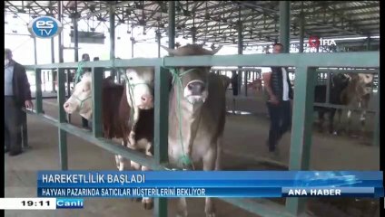 Eskişehir'de hayvan pazarında satıcılar müşterilerini bekliyor