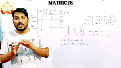 Understanding Matrices: A Beginner's Guide 📊