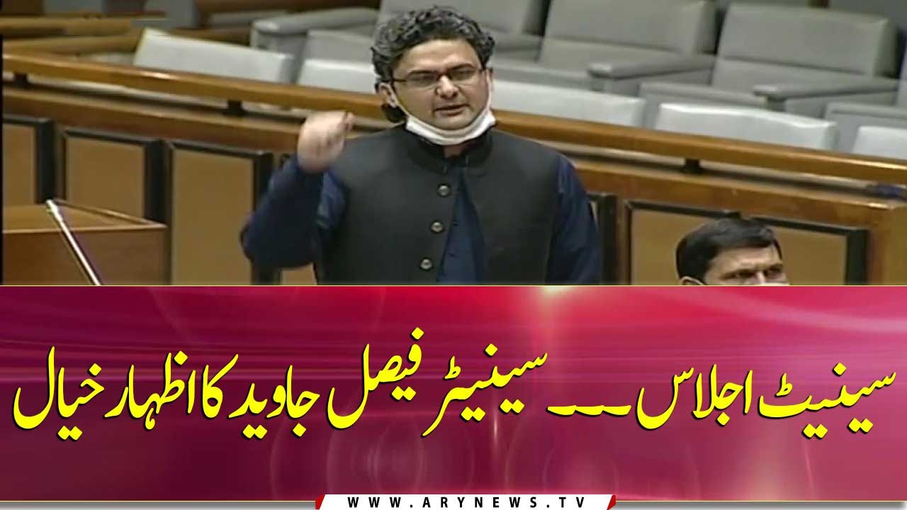 Senator Faisal Javed's speech during senate session
