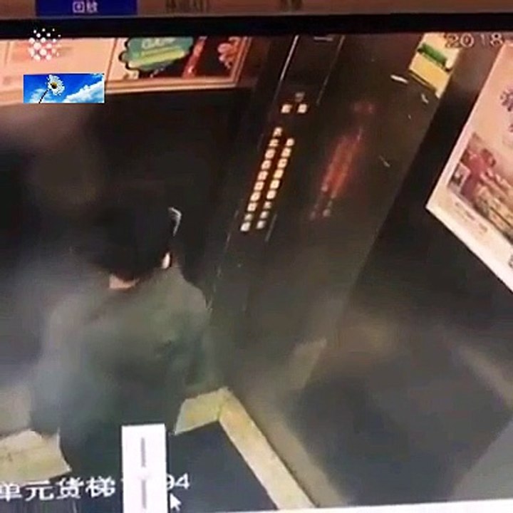 instant karma idiots 3