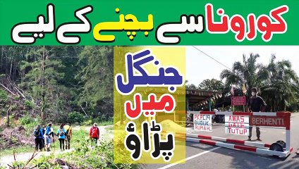 Malaysia Settle In The Jungle To Escape Coronavirus COVID-19