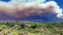 ABD'nin Arizona eyaletindeki yangın 11'inci gününde: Yangın 360 kilometrekare alana yayıldı