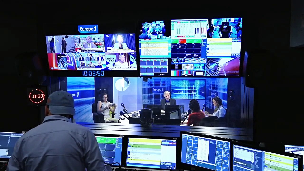 Un festival de chats se mobilise pour venir en aide aux cinémas indépendants