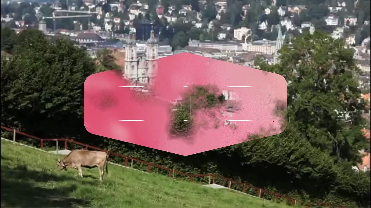 Die Schritte für einen Umzug nach St. Gallen | +41 71 588 02 14