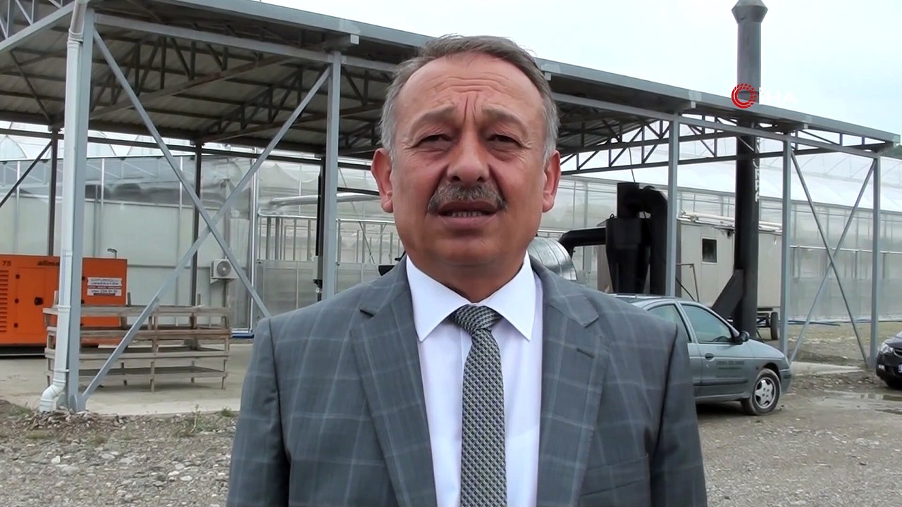 Bu vadide yerli tıbbi ve aromatik bitki fidesi üretiliyor