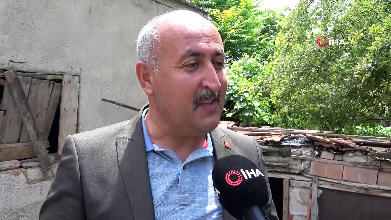 Fadime teyze geçimini yumurtadan sağlıyordu...Köpekler, tavuklarını telef etti