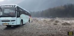 Rs. 1 crore Volvo bus gets taken away by flooding Beas river, Himachal Pradesh 24 September 2018