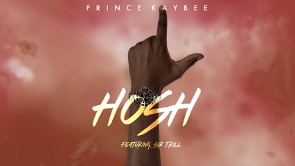 Prince Kaybee - Hosh (Visualizer)