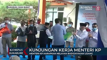 Menteri Kp Harapkan Nelayan Budidayakan Udang