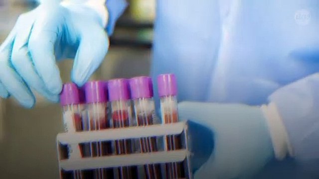 La dilution du plasma sanguin a inversé le vieillissement chez des souris