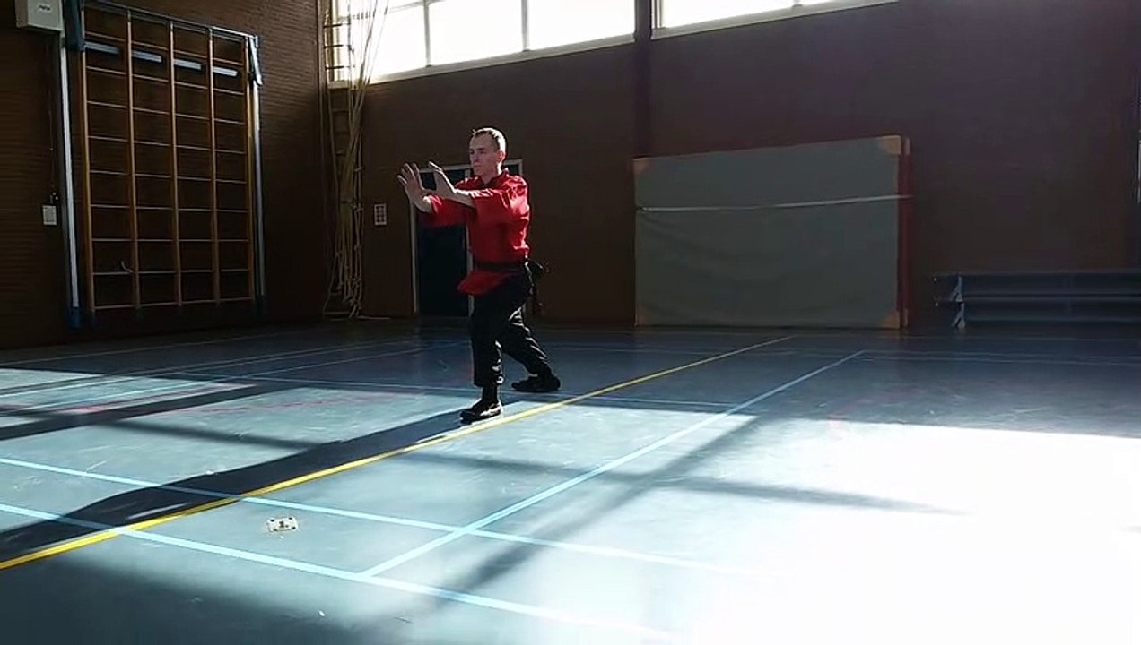 Tai Chi Taijiquan Ng Ying - Patrick van Steen - Apeldoorn Netherlands