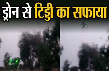 ड्रोन से टिड्डी का सफाया