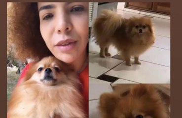 Vanessa da Mata reencontra cachorrinha desaparecida