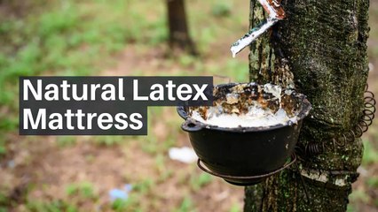 Natural latex mattress - Shinysleep