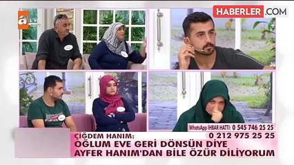 Palu Ailesi İkinci Dalga