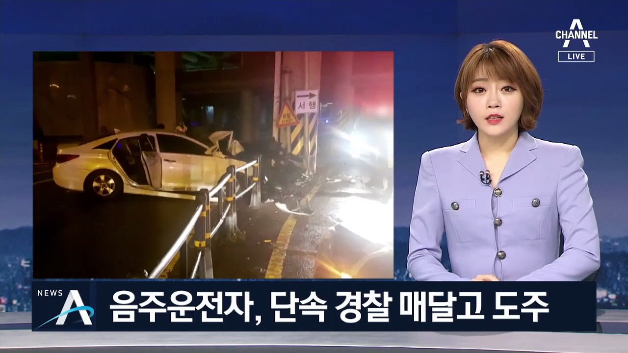 음주 단속 경찰관 매달고 1㎞ 도주…다리 기둥에 ‘쾅’