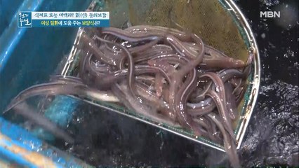 여성 질환에 안성맞춤-! [장어]