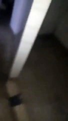 La doble cuarentena de los trabajadores del Hipódromo