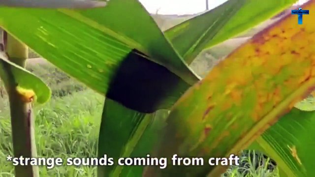 Top 10 Unbelievable Mysterious Giant Humanoid Creatures Caught On Tape