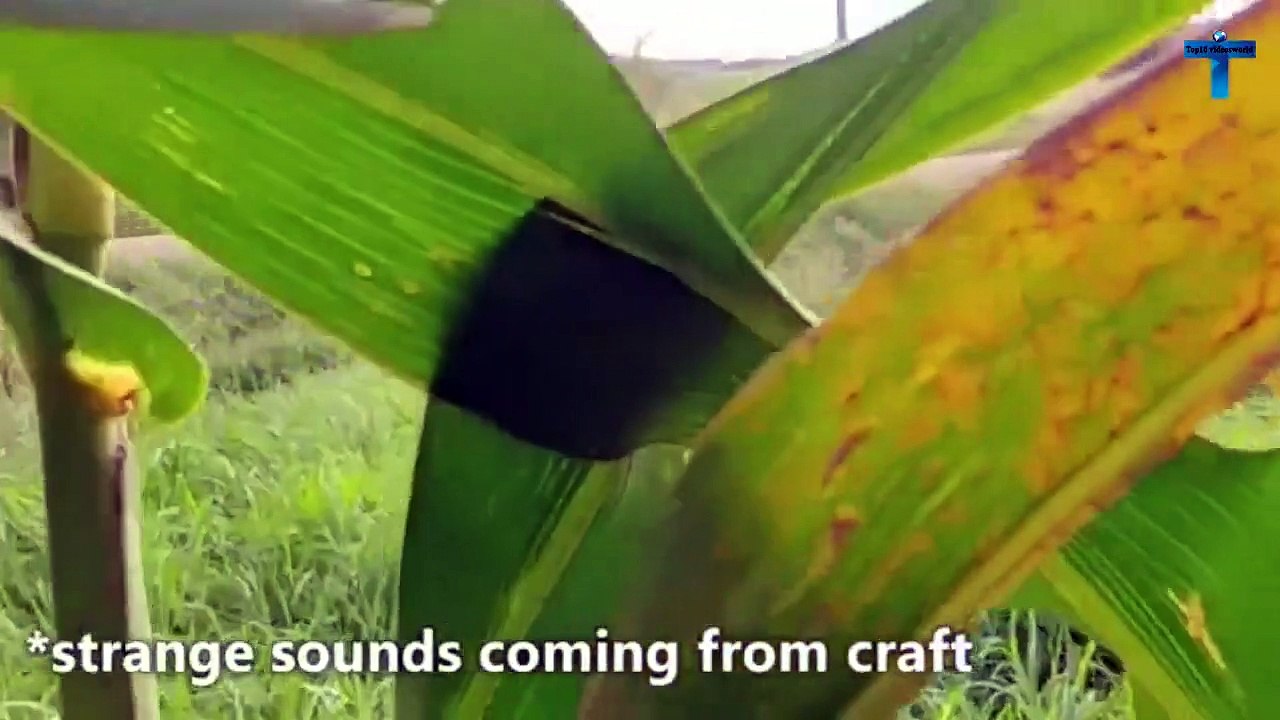 Top 10 Unbelievable Mysterious Giant Humanoid Creatures Caught On Tape