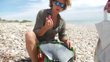 Le plastique jetable profite de la crise sanitaire pour faire son retour