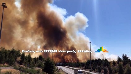 Εικόνες από τη φωτιά στο Μαρτίνο