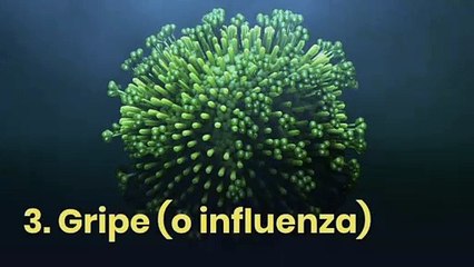 12 de los virus más peligrosos