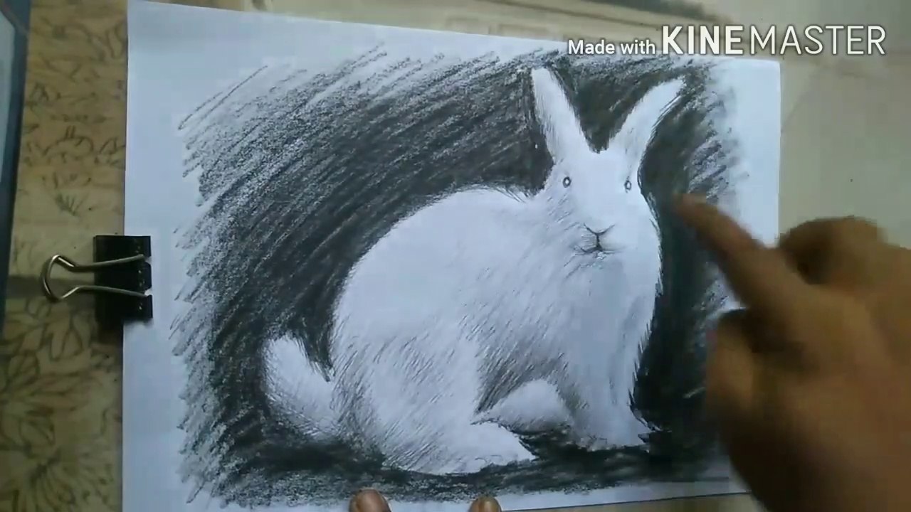 Rabbit Painting | How to draw Rabbit | Charcoal Pencil Shading | For ...