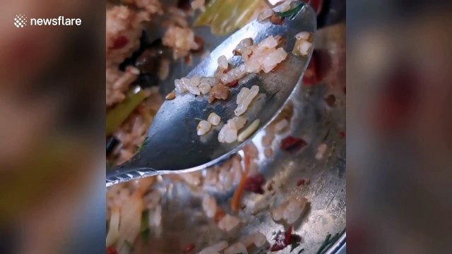 Chinese students find flies and worms in food from vocational high school canteen