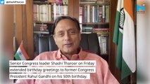 'Man with considerable intellectual and curiosity': Shashi Tharoor's birthday message for Rahul Gandhi