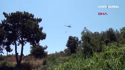 Kuşadası'nda 2 hektar makilik alan yandı