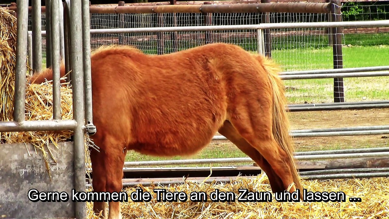 Tiergehege Gut Clarenhof