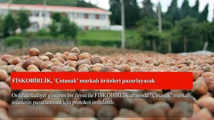 19 Haziran akşam ajansı