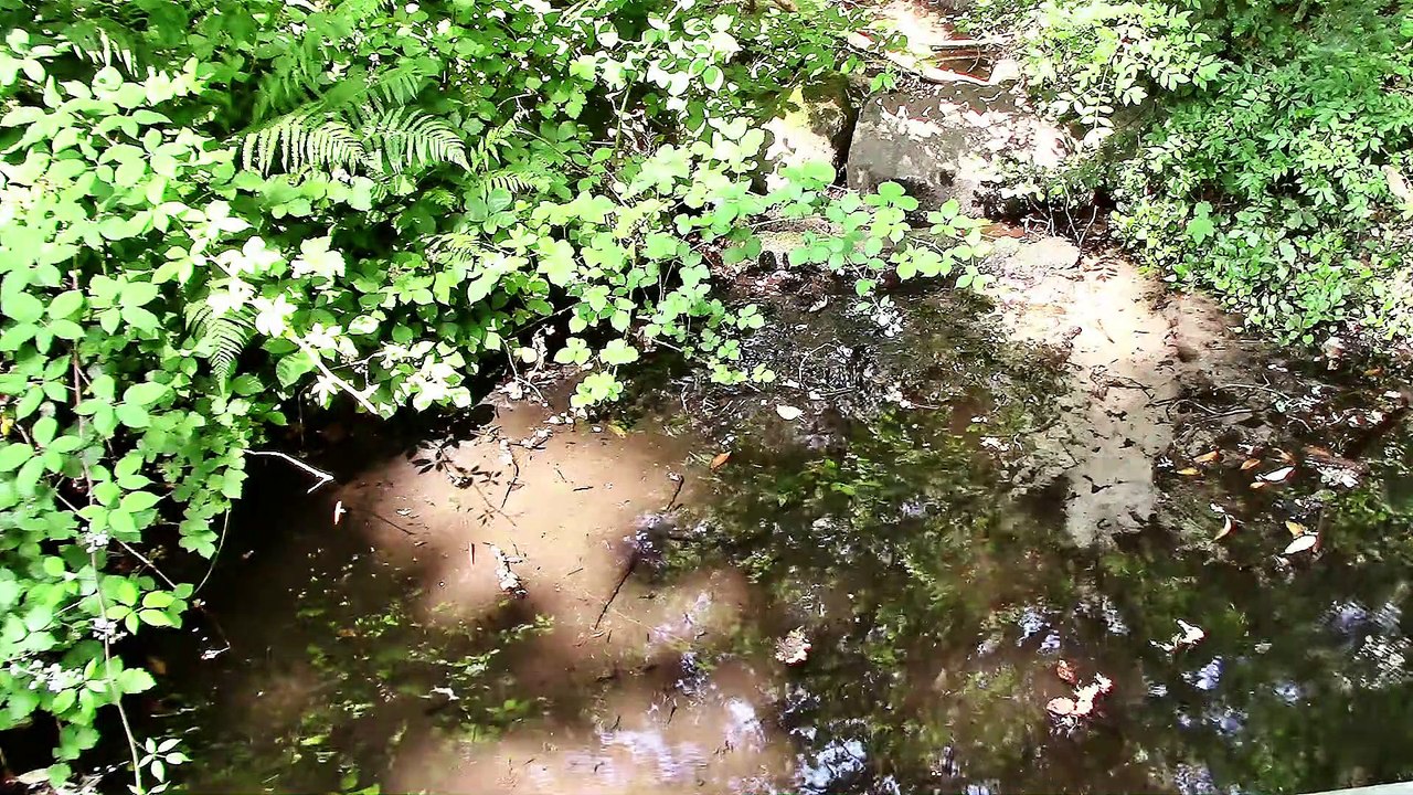 Zu Besuch im Vogelpark Troisdorf