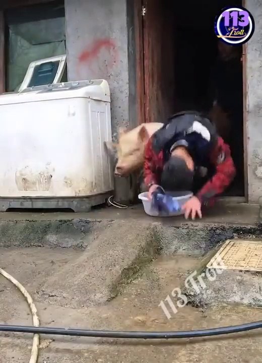 2020 CUTE GIRS VIDEO Coi là cười toét miệng【Laugh torn mouth】Funny moments 2020_P3