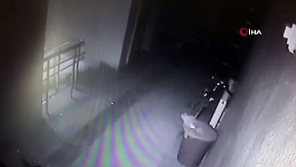 Girdiği apartmandan ayakkabıları seçerek çaldı...O anlar kamerada